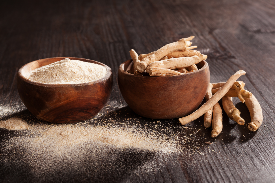 Ashwagandha - An Ancient Root for Modern Stress Support