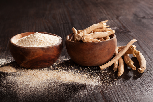 Ashwagandha - An Ancient Root for Modern Stress Support