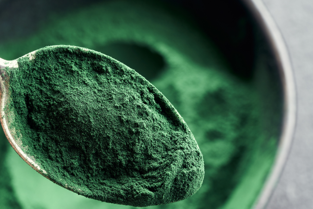 Spirulina and Chlorella: 10 Health Benefits, Differences & Recommendations