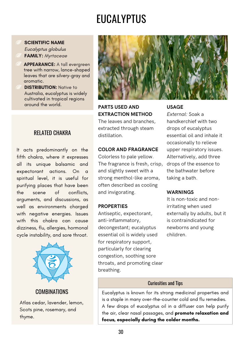 Beginner’s Guide to Essential Oils