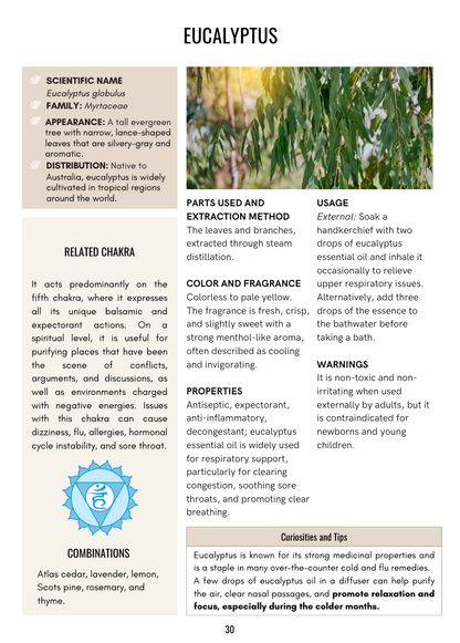 Beginner’s Guide to Essential Oils Complete Reference and Safe Daily Usage (52-Page PDF)